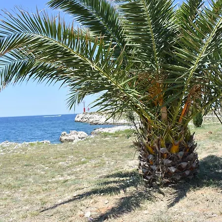 Benedetti Povljana